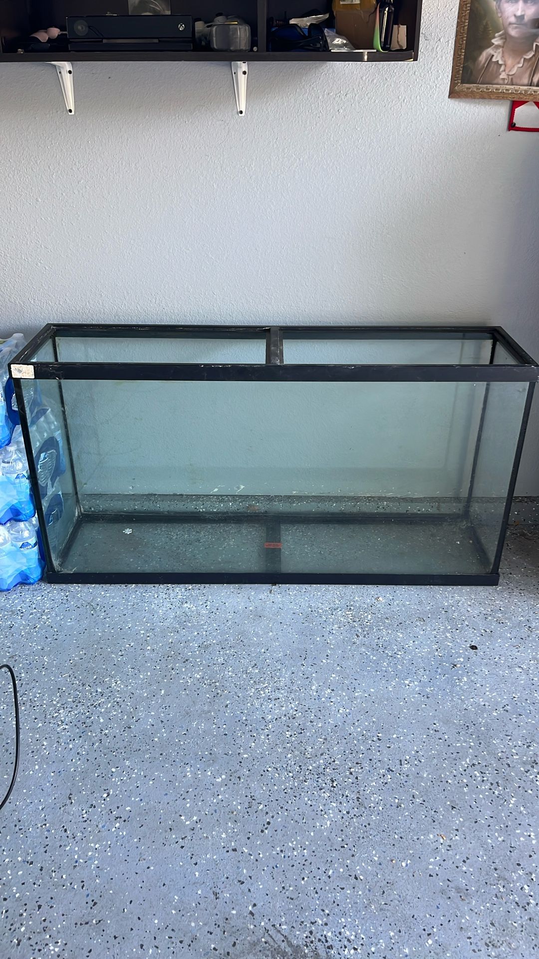 Fish Tank