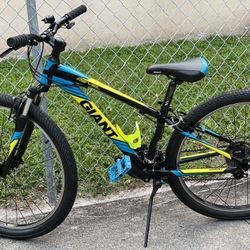 Giant revel 26” Youth Bike