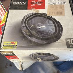 10” Subwoofer Sony