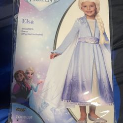Elsa Costume