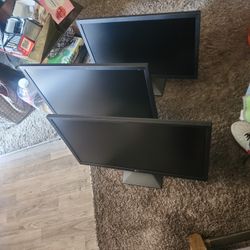 Three LG Monitors