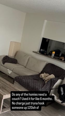 6 month old couch