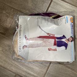 Aladdin / Arabian Folk Hero Costume