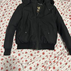 Moose Knuckles Coat 