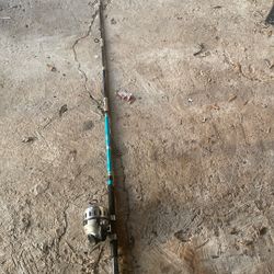 catfish rod