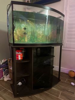 Fish tank
