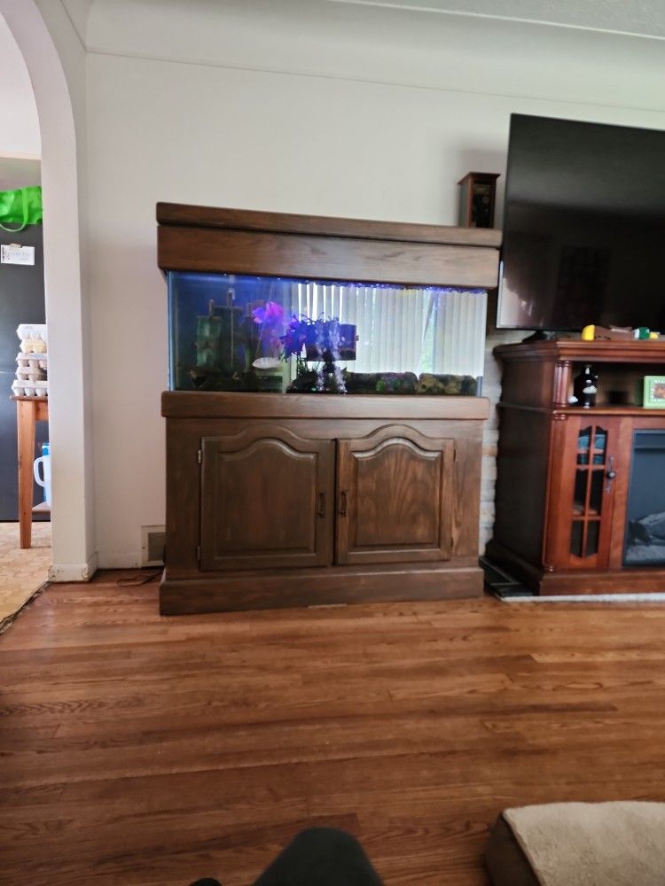 75 Gal Aquarium