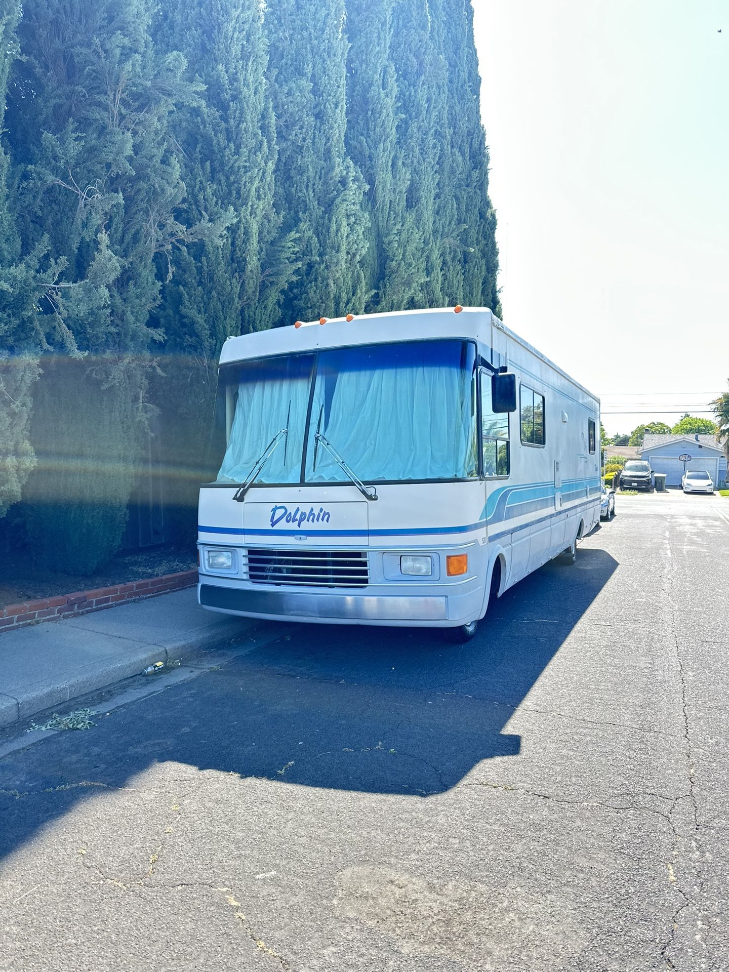 Rv Dolphin 1994