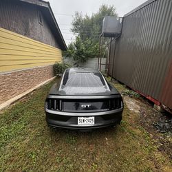 Mustang Smoked Tail Lights 