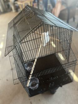 Bird Cage