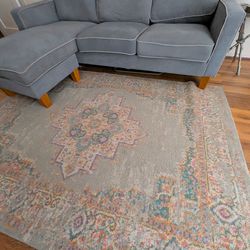 FREE FREE FREE 🆓 Free rug from dog friendly house