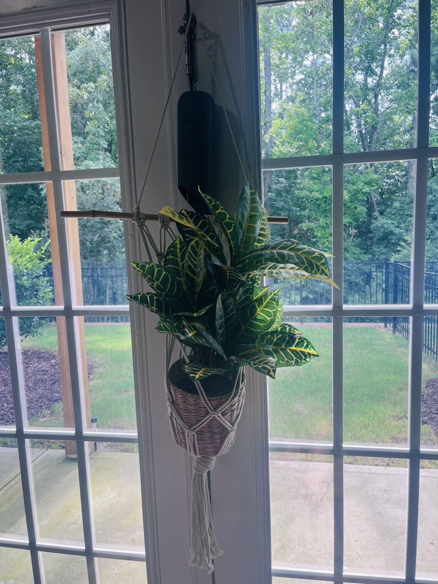 Hanging Plant in Macrame Holder