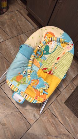 Baby Bouncer