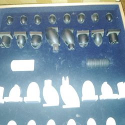 Special Chess Set From A World's Champ 