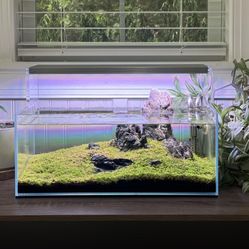Uns Rimless Aquarium . Ultum Nature Systems