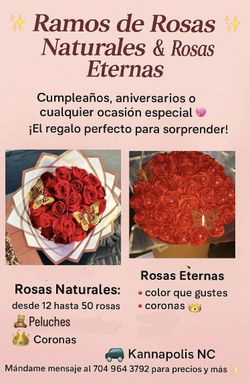Rosas Eternas Y Naturales 