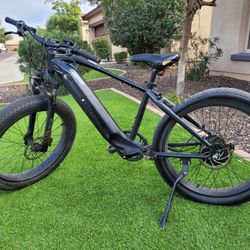 ELECTRIC E BIKE