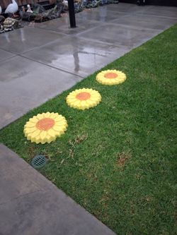 Sunflower 🌻  stepping  stones  for garden decoration