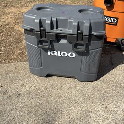 Igloo cooler