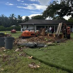 Stump Grinding 