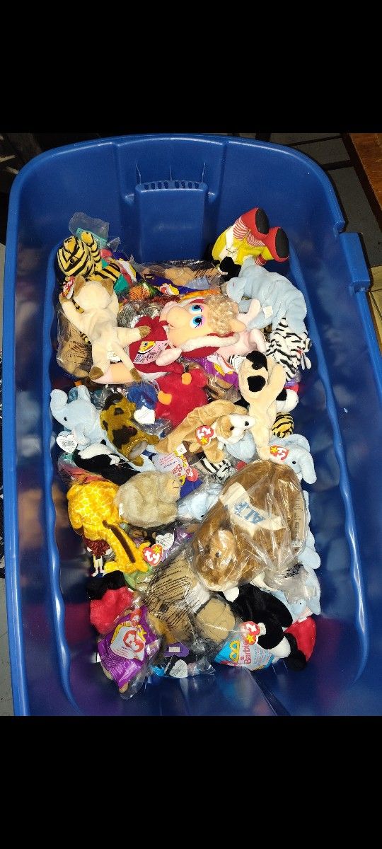 Box Of Brand New Beanie Baby's