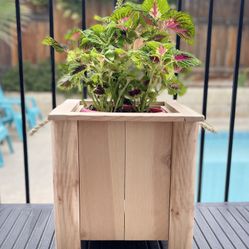 Cedar Planter Box