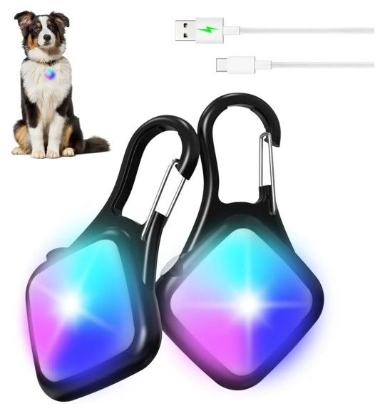 Luces Para Pasear A Tu Perrito