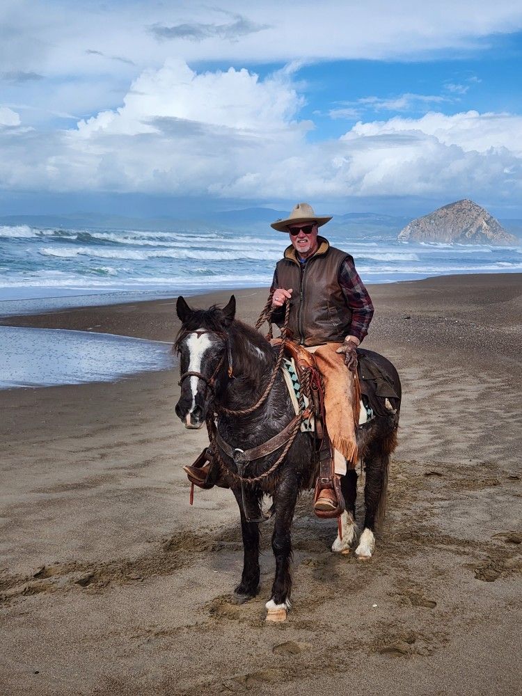 Solid Trail Horse Kid Safe