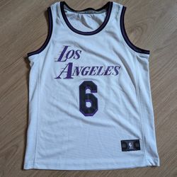 Los Angeles Lakers Youth Small Lebron James Jersey