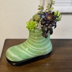 Succulent Arrangement 