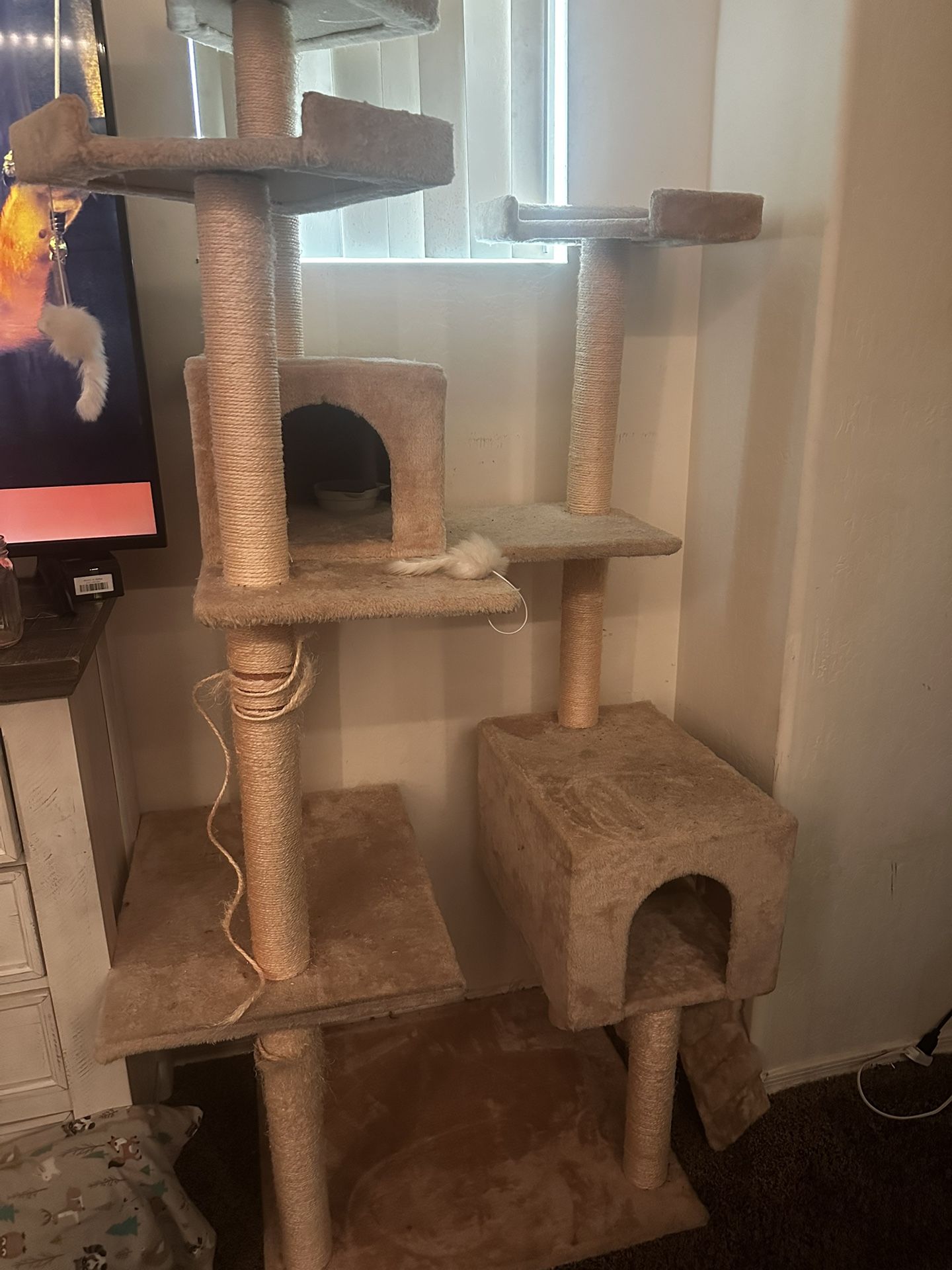 Cat Tower