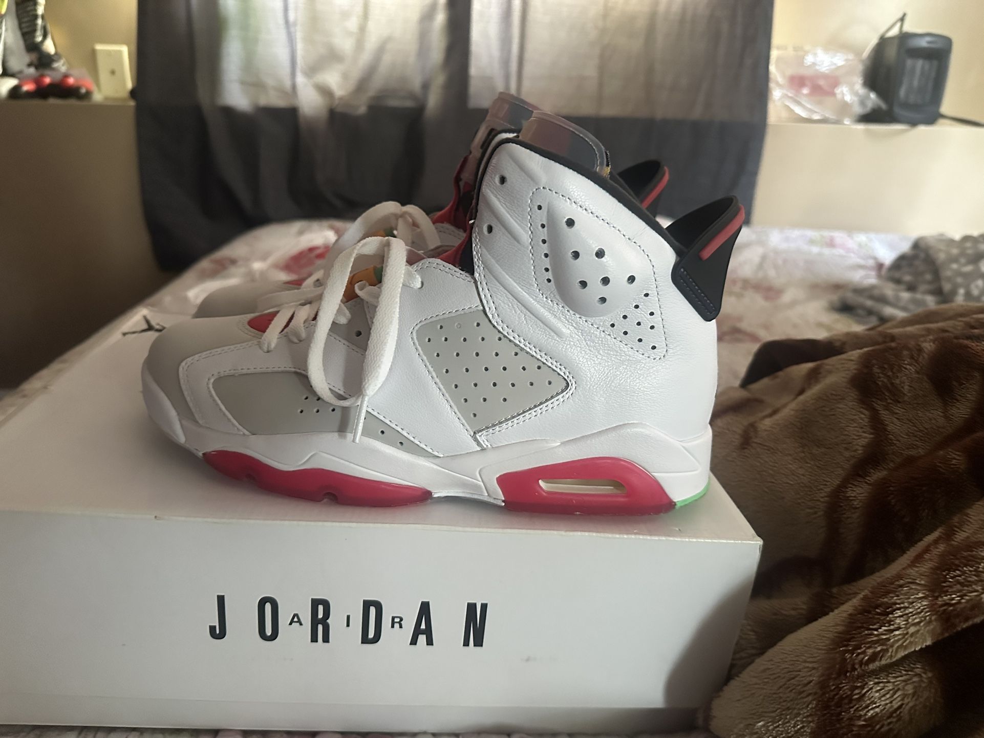 Jordan 6s Hare’s 