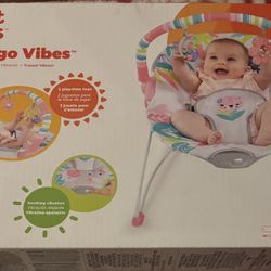 Baby Bouncer 