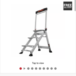 Little giant ladder
