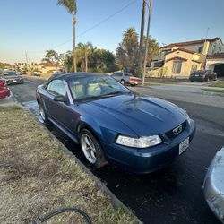 2000 Ford Mustang