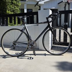18.6 lb. All-Carbon Giant TCR C2 Racing Bike 
