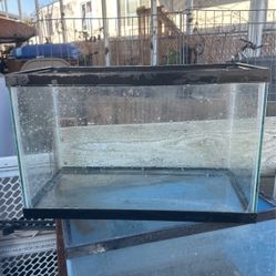 10 Gallon Fish Tank/ terrarium 20”L  x 10.5”W x 13”T