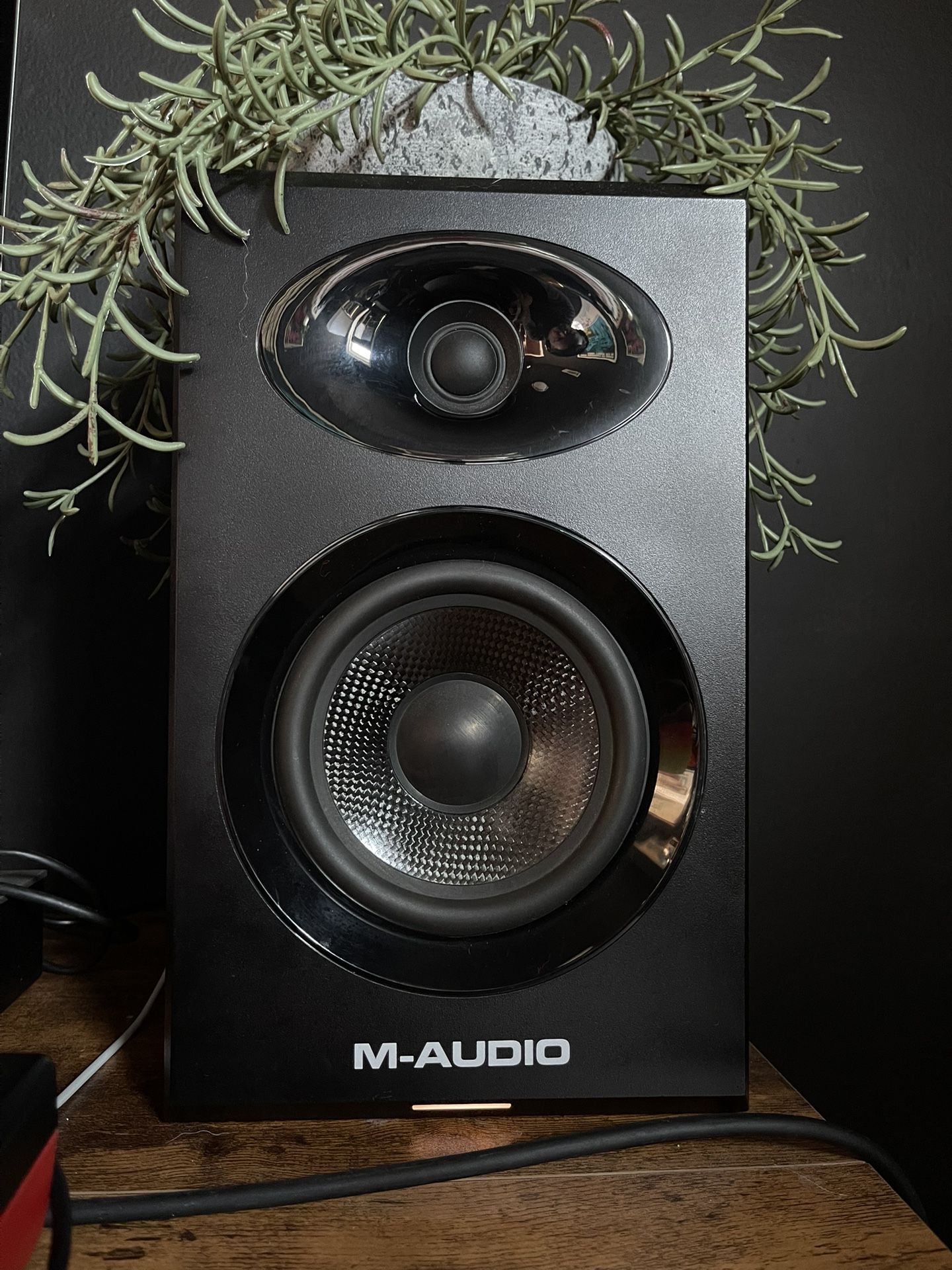 M Audio BX5 Monitors (PAIR)