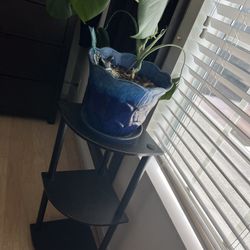 3-Tier Corner Shelf