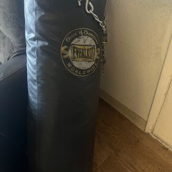 Punching Bag 