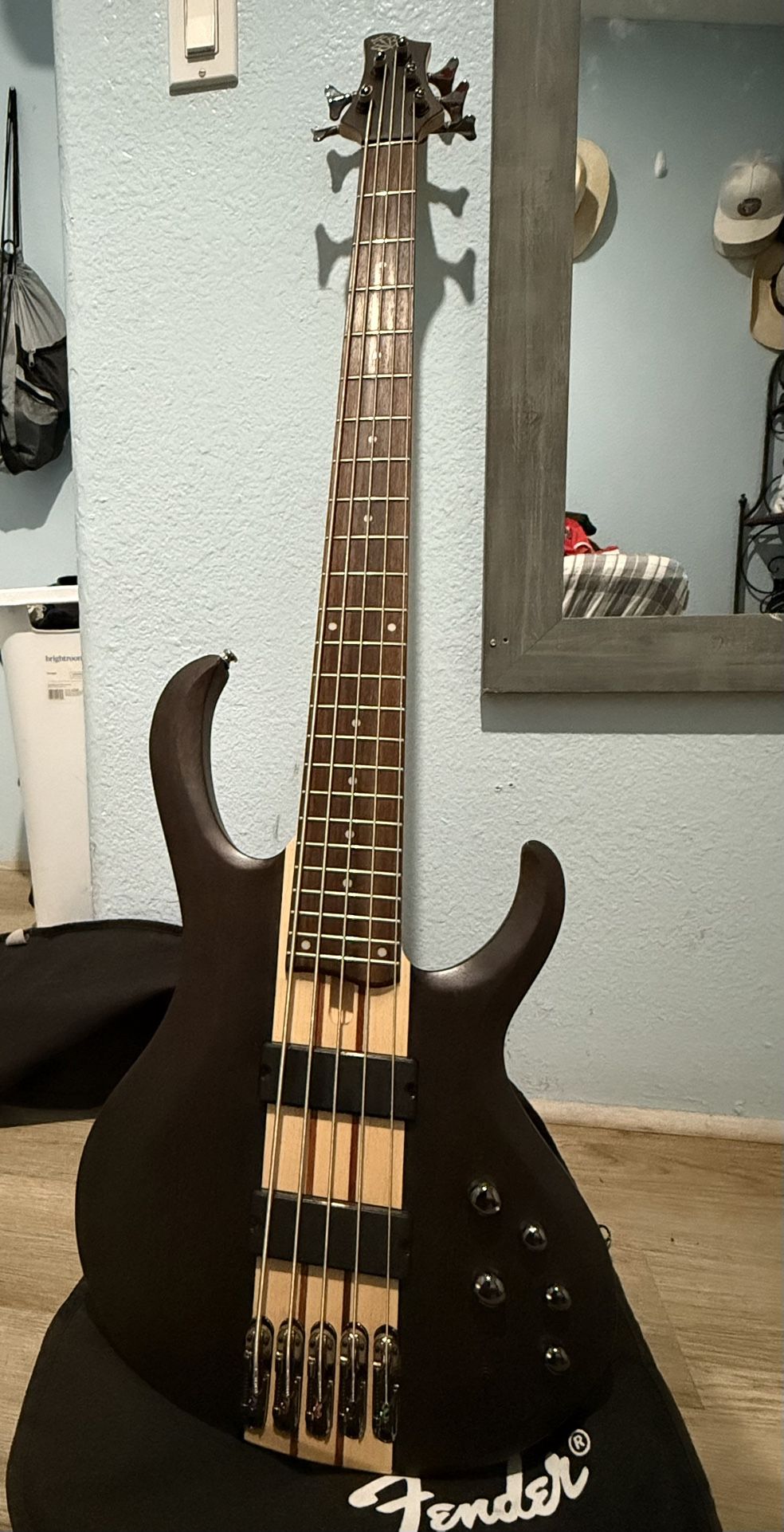 Ibanez btb 5 string bass