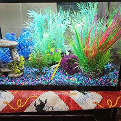 BRAND NEW AQUARIUM BUNDLE WITH ALL FISH FOOD AND CLEANING MATERIAL BUNDLE