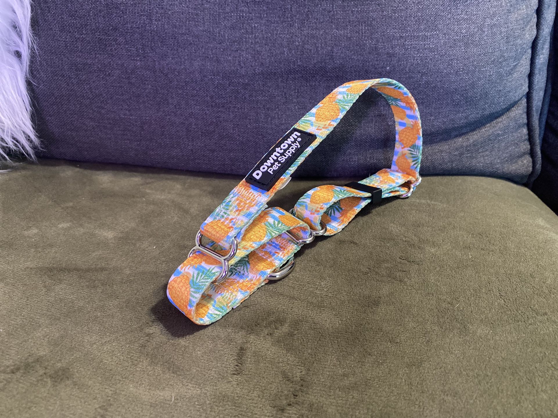 Dog Collar Pineapple 