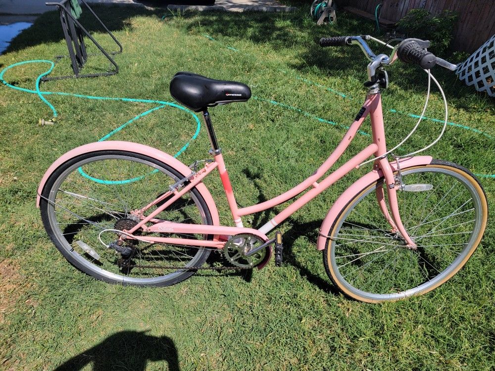 Critical Cycles Beach Cruiser