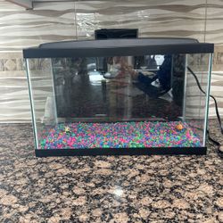 Fish Tank 10gallon