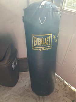 Everest Punching Bag