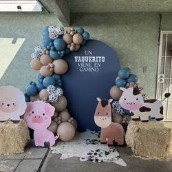 Balloon Decoration Backdrops
