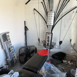 Bowflex Blaze