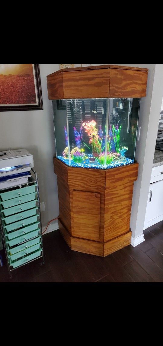 44 Gallon Fish Tank And Stand