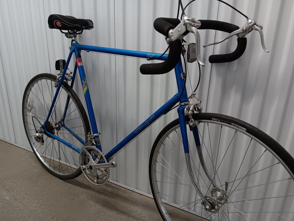 Tall? KHS 12-speed road bike, 25" (62cm), total refurb!